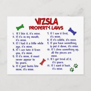 Wetten 2 van het Bezit VIZSLA Briefkaart