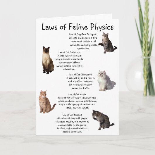 Wetten van de Feline Physics Kaart (Voorkant)