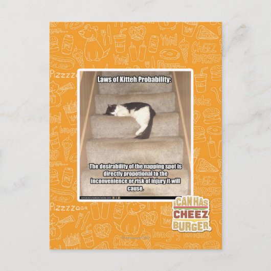 Wetten van Kitteh Probability Briefkaart (Voorkant)