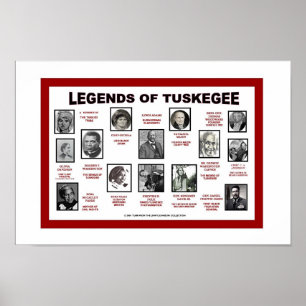 WETTEN VAN TUSKEGEE POSTER