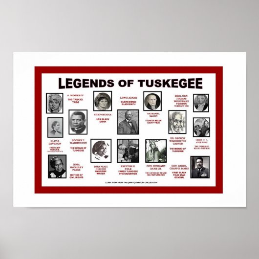 WETTEN VAN TUSKEGEE POSTER (Voorkant)