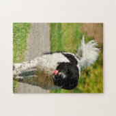 Wetterhoun Dog Jigsaws. Legpuzzel (Horizontaal)