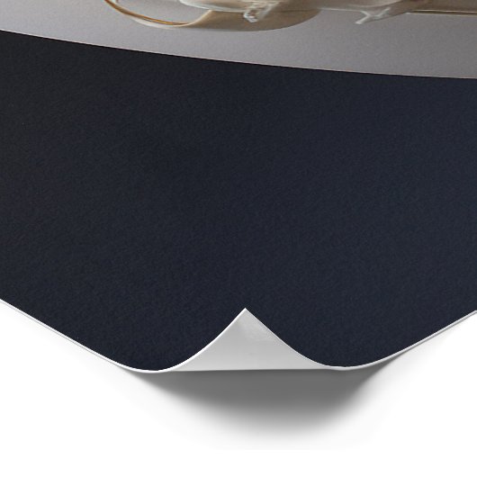 Wever vrouw van de witte ring schilderij poster (Hoek)