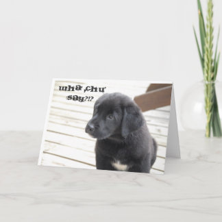 wha chu zegt?!? kaart