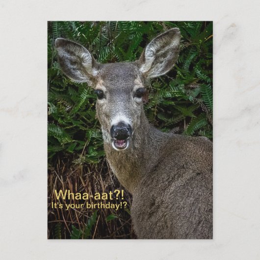 Whaa-aat?! Het is je verjaardag!? Ansichtkaart Briefkaart (Voorkant)