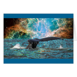 Whale en Supernova