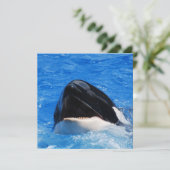 Whale-geluiden Kaart (Staand voorkant)