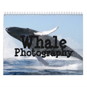Whale Photography Calendar Kalender