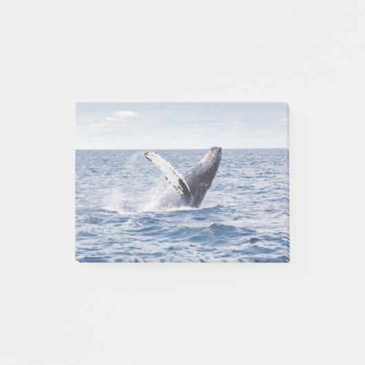 Whale Post-it® Notes (Voorkant)