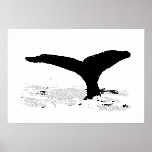 Whale Poster (Voorkant)