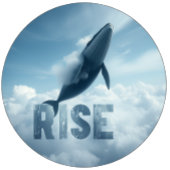 Whale Rise Inspiration T-shirt