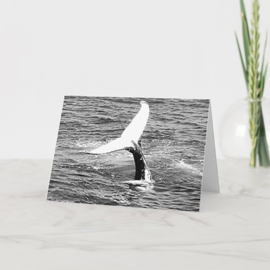 Whale Shakes a Tail Feather carte d'anniversaire (Devant)