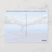 Whale Tail Alaska - Briefkaart (Achterkant)
