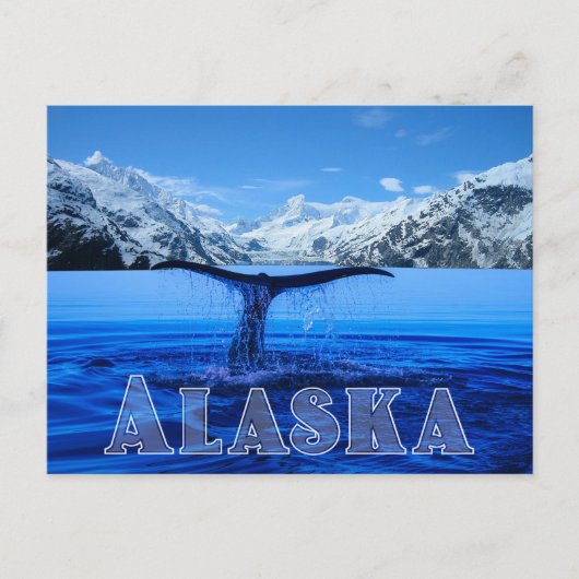 Whale Tail Alaska - Briefkaart (Voorkant)