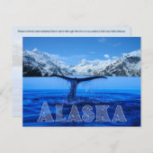 Whale Tail Alaska - Carte postale (Devant / Derrière)