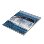 Whale Tail Tegeltje (Zijkant)