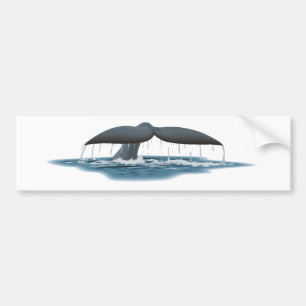 Whale Watcher Bumpersticker