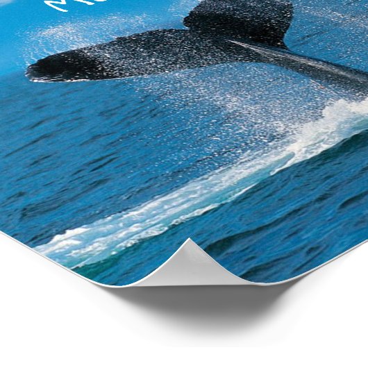 WhaleMath Poster (Hoek)