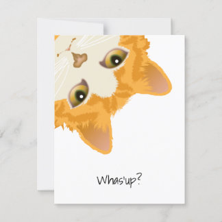 Whas'up Sinaasappel Ondersteboven Cat Kaart