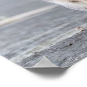 "What, I'm Pregnant!" Female Squirrel Poster (Coin)