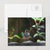 Whatcha Doin Briefkaart (Voorkant / Achterkant)