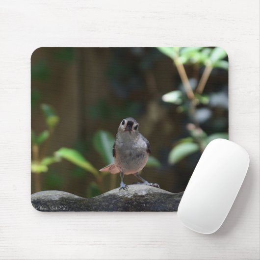 Whatcha Doin Muismat (Met muis)