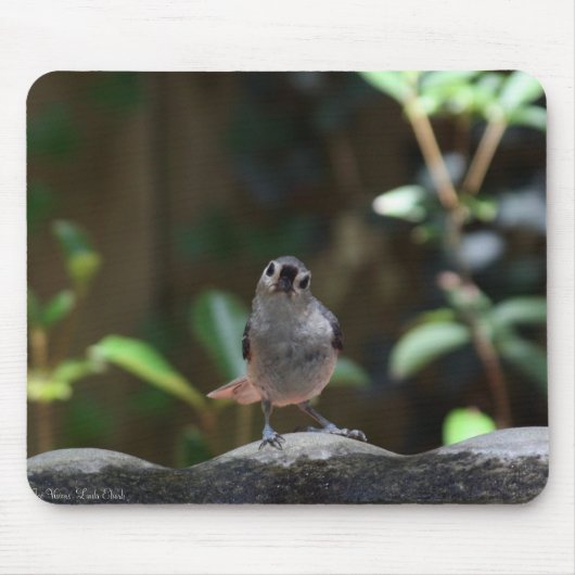 Whatcha Doin Muismat (Voorkant)