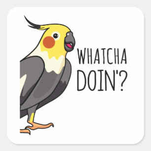 Whatcha Doin Parrot kijkt naar jou Vierkante Sticker