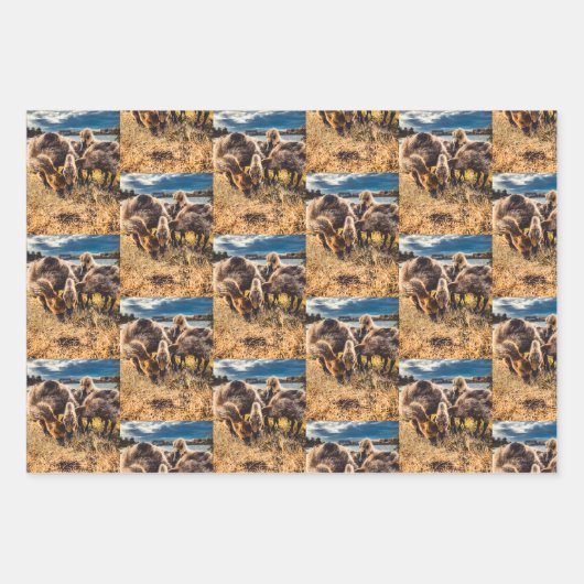 Whatcom County buitenshuis set Inpakpapier Vel (Voorkant)