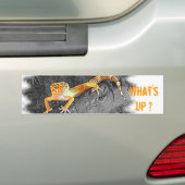 What's up? Gecko, leopard gecko, Bumpersticker (Op auto)