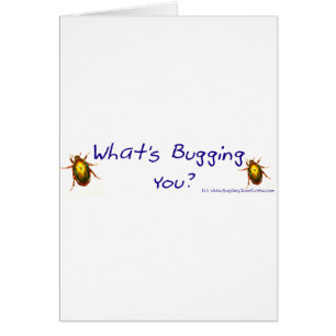 WhatsBuggingYouBumperSticker