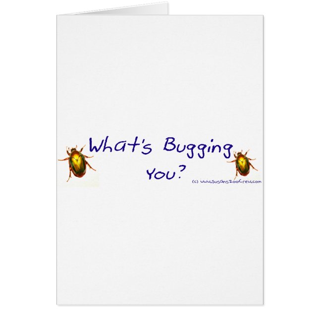 WhatsBuggingYouBumperSticker (Voorkant)