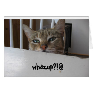 whazup chat puzzy ? !