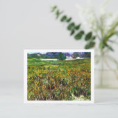 Wheat Field Auvers, White House Van Gogh Fine Art Briefkaart (Staand voorkant)