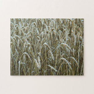 Wheat Field Jigzaag Puzzle Legpuzzel