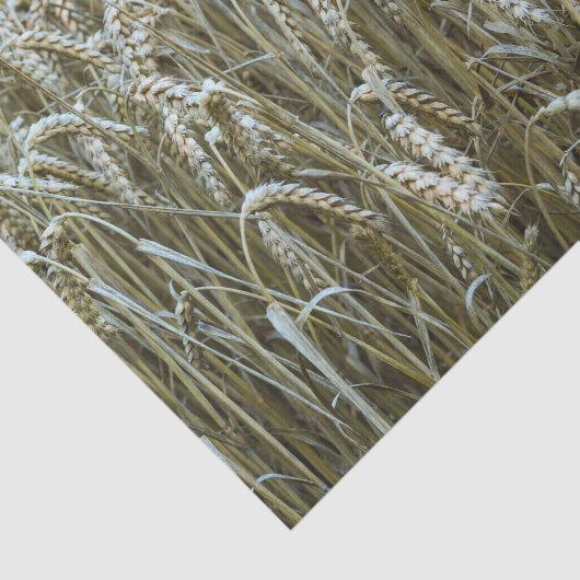 Wheat Field-weefselpapier Tissuepapier (Detail)