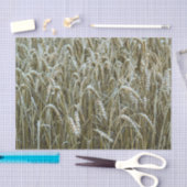 Wheat Field-weefselpapier Tissuepapier (Craft)