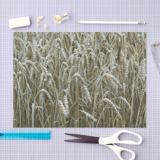 Wheat Field-weefselpapier Tissuepapier (Craft)