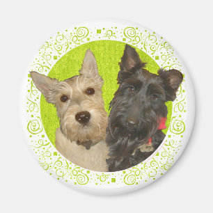 Wheaten & Black Schotse Terriërs Magneet