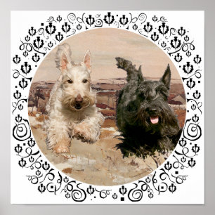 Wheaten & Black Scotties Running Poster