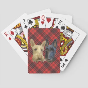 Wheaten & Black Scottish Terriers Pokerkaarten