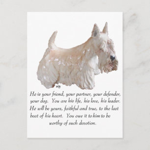 Wheaten Schotse Terrier - REU HOND Briefkaart