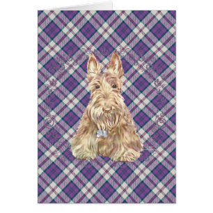Wheaten Scottie Tartan
