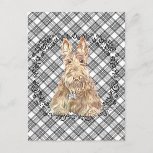 Wheaten Scottie Tartan Briefkaart