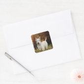 Wheaten Scottish Terrier Autumn Vierkante Sticker (Envelop)