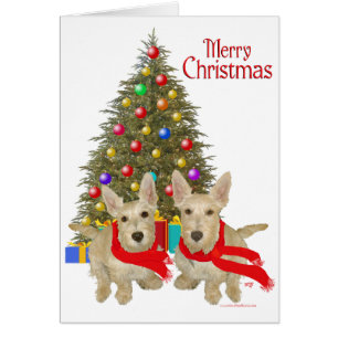 Wheaten Scottish Terrier Chirstmas