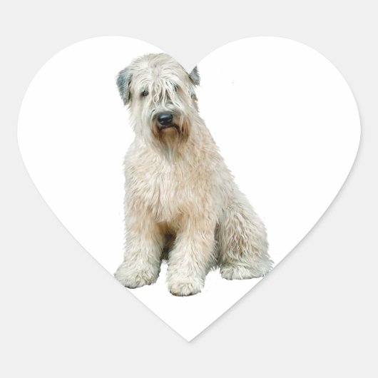 Wheaten Terrier (C) Hart Sticker (Voorkant)