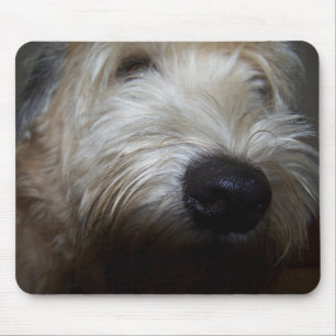 Wheaten Terrier Dog Face Muismat