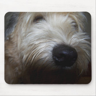 Wheaten Terrier Dog Face Muismat