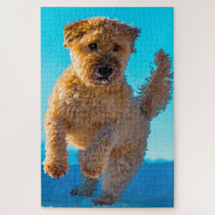 Wheaten Terrier Hond Puzzels. Legpuzzel
